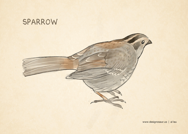 sparrow_by_al_lau