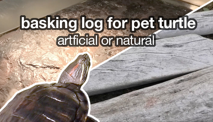 basking log for pet turtles