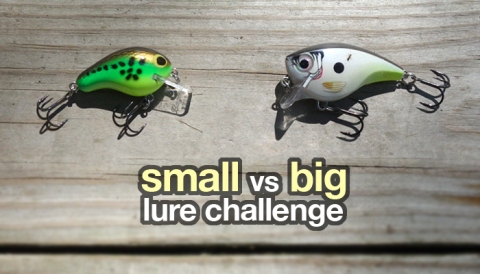 small vs big crankbait challenge
